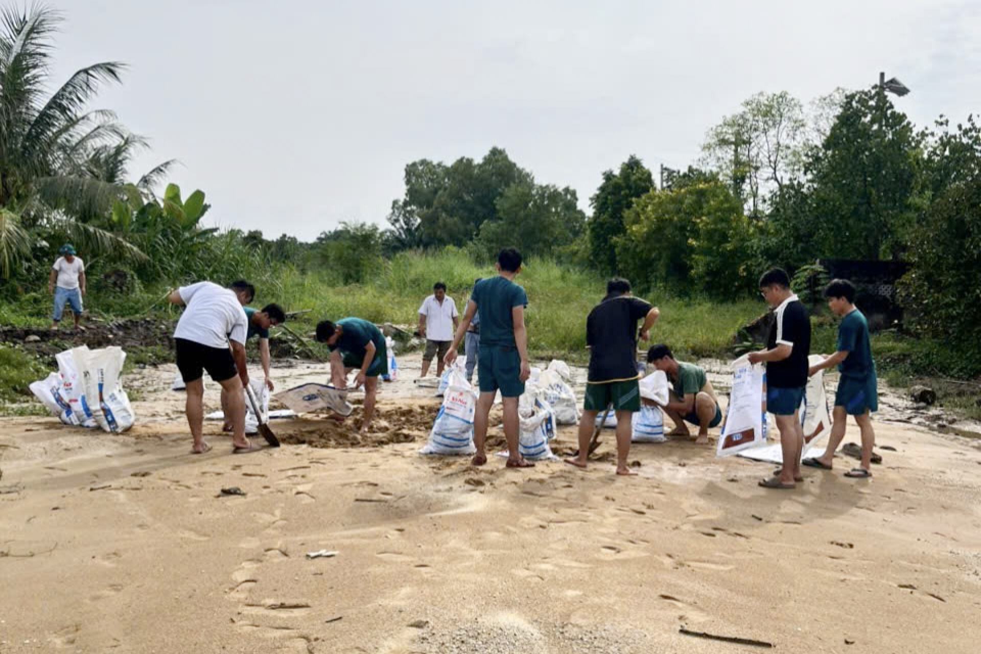 平美乡动员超过1300人次应对和克服潮汐及大雨后果